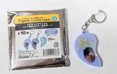 阪神タイガース【坂本捕手】シークレット　ニコイチキーホルダー　新品未使用