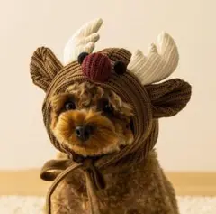 Item thumbnail for item 8fd7df81-6b5a-476f-91af-09e18067ba7e