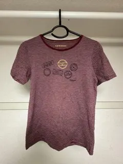 McGREGOR マックレガー　ストライプtシャツ レディース　短丈　アーカイブ