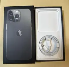 iPhone 13 Pro に付属していた純正Lightningケーブル