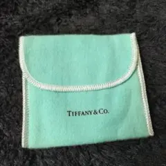 Tiffany & Co. ティファニー　保存袋　未使用