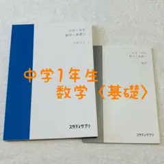 スタディサプリ　中学1年生　数学〈基礎〉 別冊解答付き　未使用品