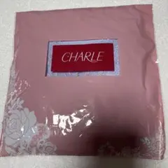 Item thumbnail for item 5a4ab10e-1734-4ccd-8f2d-190daf63fc03