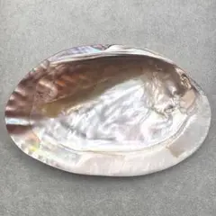 Item thumbnail for item 1863d2c7-f24a-42f6-a8c6-4bc28d763423