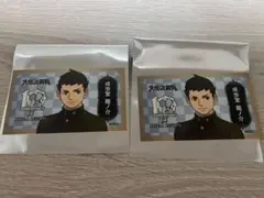 成歩堂龍一 10周年記念パッケージ 2枚セット
