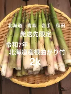 2025年最新】根曲がり竹 秋田の人気アイテム - メルカリ