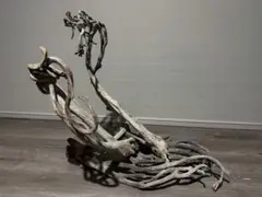 Item thumbnail for item fc0b7b39-ee28-4bc2-81ea-f107750ee268