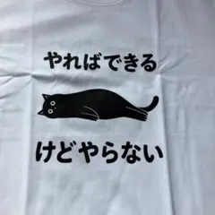 だる猫 やればできるけどやらない 面白Tシャツ　Mサイズ　かわいい