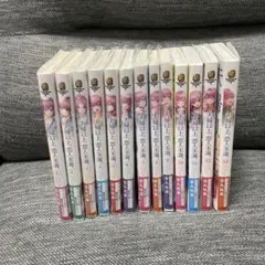夫婦以上、恋人未満全巻セット