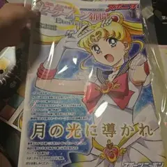 セーラームーン　新聞