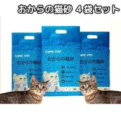 Item thumbnail for item 3ec1bfb5-3446-4cee-ae14-da067f64a3f7