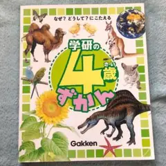 Item thumbnail for item 86622ce4-8c7a-4e19-abe9-51f7e55771b7