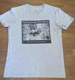 ノースフェイス グレー XL Tシャツ