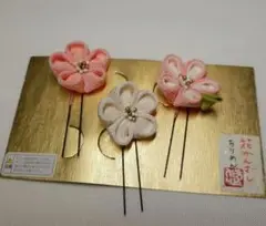 Item thumbnail for item 467b6b1d-3bf7-48ce-89f4-0dcc5722fdc7