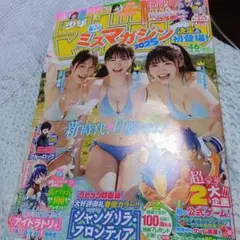 Item thumbnail for item c57f298e-4947-4a5c-8376-a3c1320fa7fe