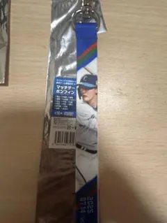 埼玉西武ライオンズ　元山　マッチデーボンフィン　東京ドーム開催記念