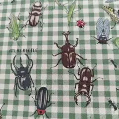 生地　ハギレ　昆虫柄　オックス
