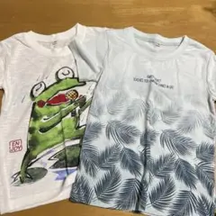 カエル　植物イラストTシャツセット