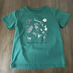 The North Face 150 Tシャツ