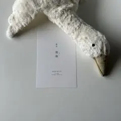 自己紹介カード｜命名書 お七夜 ハガキサイズ 4枚セット 無機質 古風