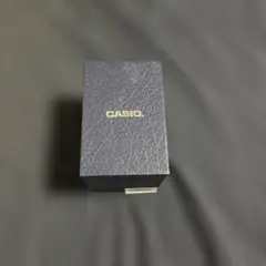 CASIO アナログ時計 ブラック ナイロンバンド