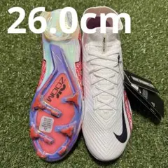 Item thumbnail for item 384ceb69-122b-45ed-83b0-bf5a837e3717