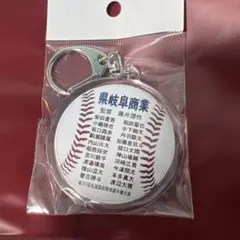 第107回全国高校野球選手権大会　県岐阜商　メンバー入りキーホルダー
