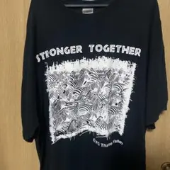 しまうま　Tシャツ　動物Tシャツ　黒　2XL