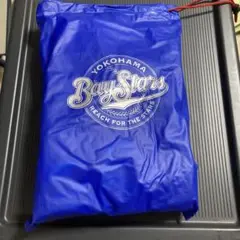 Item thumbnail for item 55750c22-74f6-495c-a9fd-1aeff6a2ab89