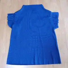 フリル付き袖の青いTシャツ