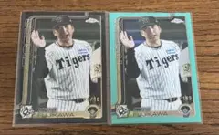 Item thumbnail for item 41ed6c22-570e-43a9-ab17-241cc4278a2e