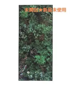2025年最新】スカーラ ラグ ボタニカルの人気アイテム - メルカリ