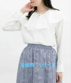 Item thumbnail for item 9f5eee64-0f81-4057-8743-f4066ba14a3f