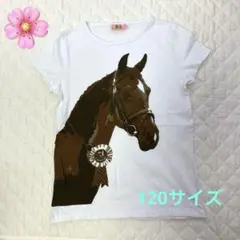 馬の顔プリント 半袖tシャツ　新品　未使用　１２０サイズ