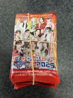 イベント入手 BBM 女子プロレスカード2025 未開封20パック