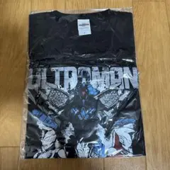 Item thumbnail for item b511bab8-dba6-455b-b595-a8645d1d9364