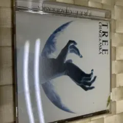 ※272 CHAG E &A S K A T R E E