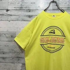 【最高カラー】ビッグロゴ ヴィンテージ ゆるだぼ USA輸入 半袖 Tシャツ