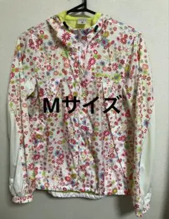 Item thumbnail for item 5cc58940-cf7e-4a4c-92d4-30cfd5a97dae