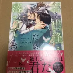 君と出逢うため落ちてきた　　BL小説