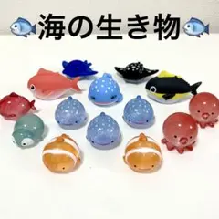 海の生き物セット ジンベイザメ タコ タイ ペンギン クマノミ