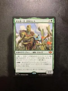 MTG コマンダーパーティ プロモ 選別の儀式 灯の燼滅　荒地 セット販売 MTG コマンダーパーティ プロモ 選別の儀式 灯の燼滅 荒地