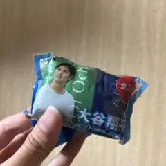 新品未使用 おーいお茶　大谷翔平サイン入りペットボトルカバー