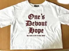 ロゴTシャツ 半袖 ホワイト y2k ギャル ミニ　クロップド　ヴィンテージ