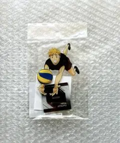 ハイキュー 疑似ユース合宿フェア 宮侑