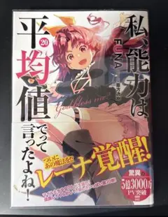私、能力は平均値でって言ったよね!(20)