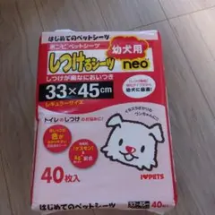 Item thumbnail for item 43802c76-d82b-44cd-b14e-6430b956d31d