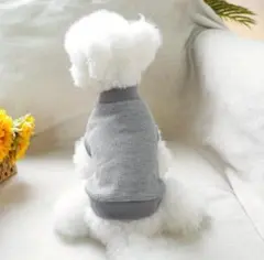 Item thumbnail for item cd3017d8-4a50-447d-814e-7d49b9052fd1