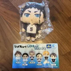 ハイキュー!! ぬいぐるみ マスコット 赤葦京治