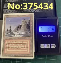 [PLD]Bayou 3ED en リバイズド デュアルランド MTG 再録禁止 PLD]Bayou 3ED en リバイズド デュアルランド MTG 再録禁止